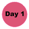 Day 1